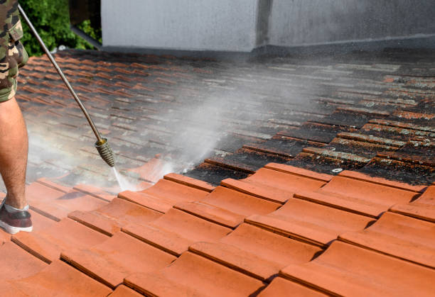 Best Affordable Power Washing  in Salisbury, NC